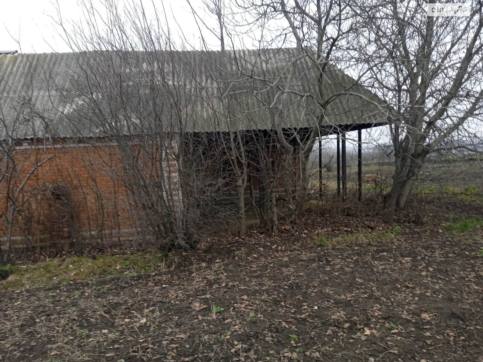 Будинок, Теплик: гараж, літня кухня, господарські будівлі - фото 2