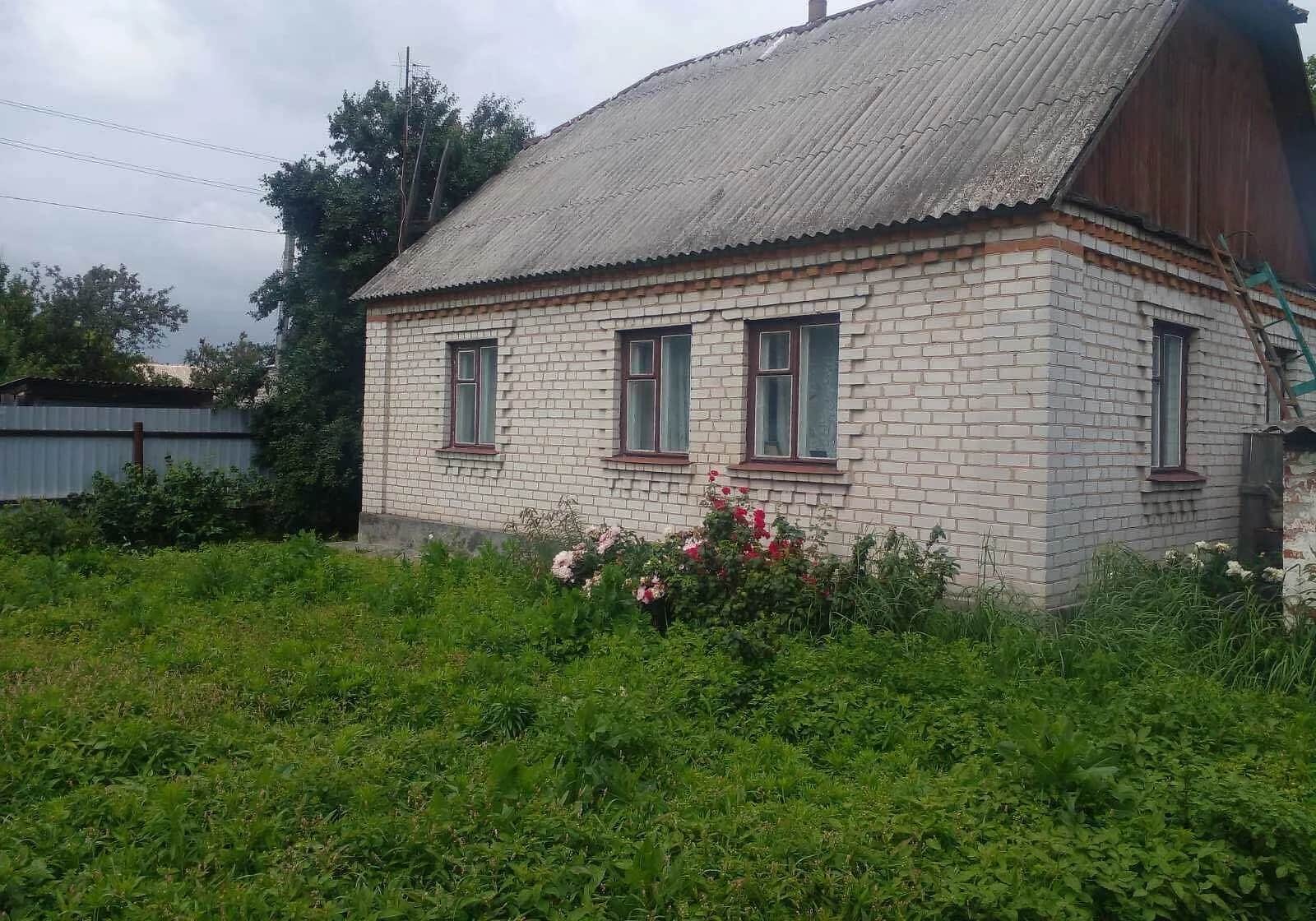 Будинок, Радомишль: гараж у дворі, свердловина - фото 2
