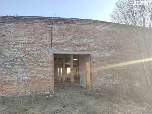 Комерційне приміщення, Заріка: клас A, 1 поверх - фото 2