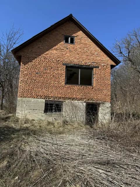 Ділянка 50 соток, Тячів: асфальтована дорога, будинок і туалет - фото 1