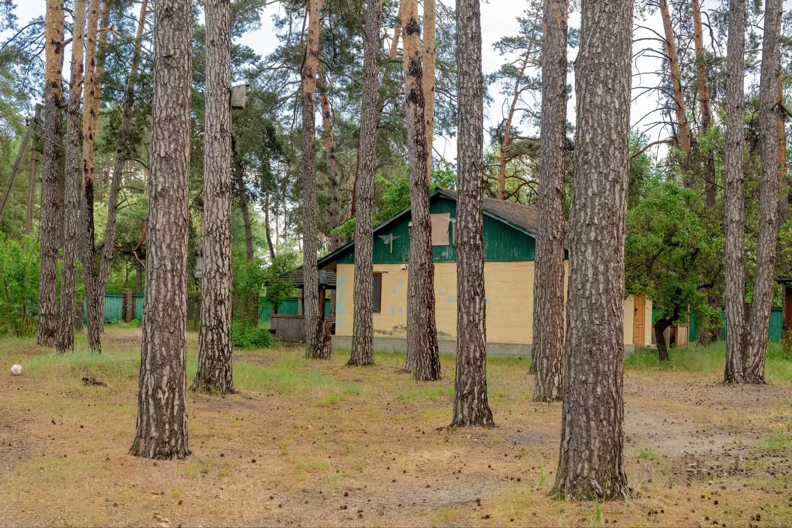 База відпочинку, Пірнове: діючий бізнес, 27 будиночків - фото 2
