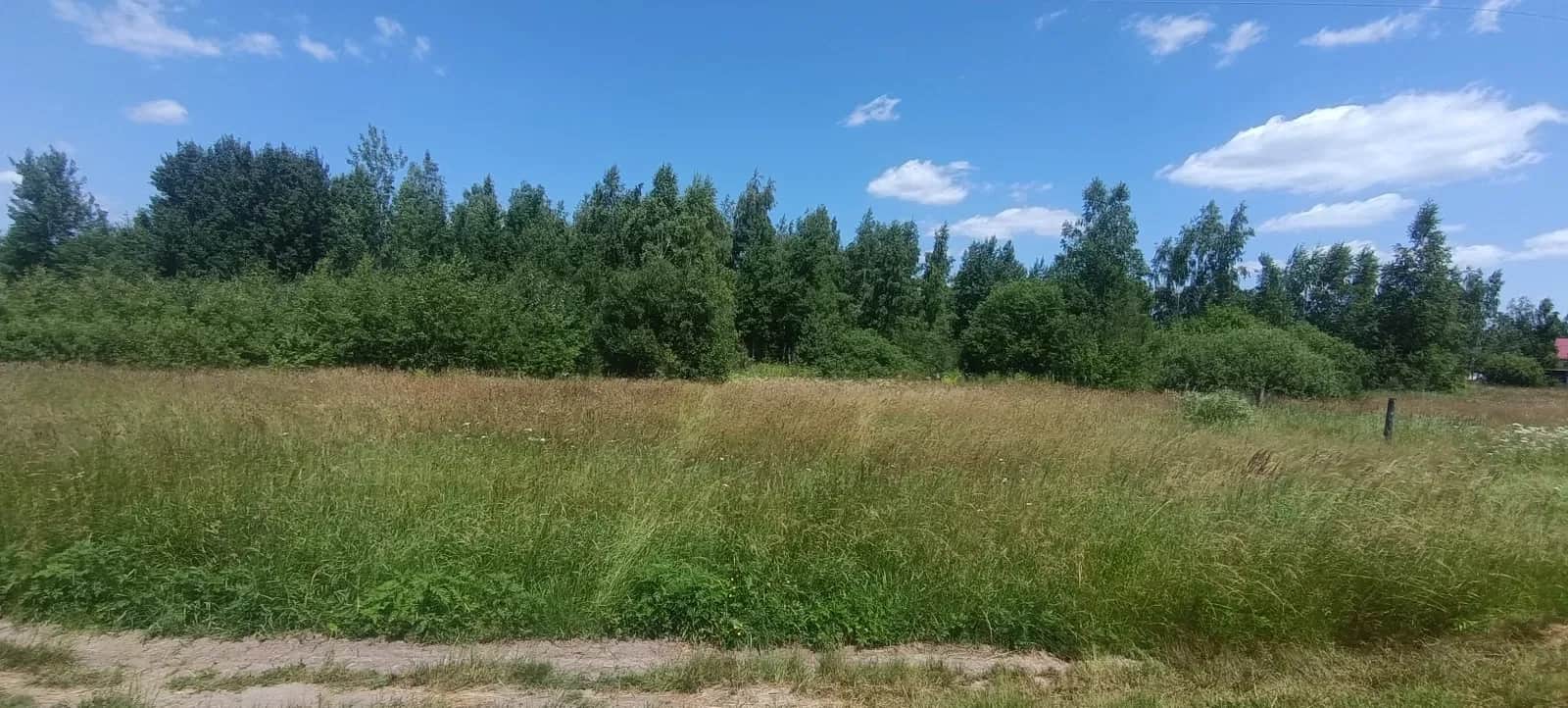 Ділянка 12 соток, Бабинці: під забудову, березовий сад - фото 1