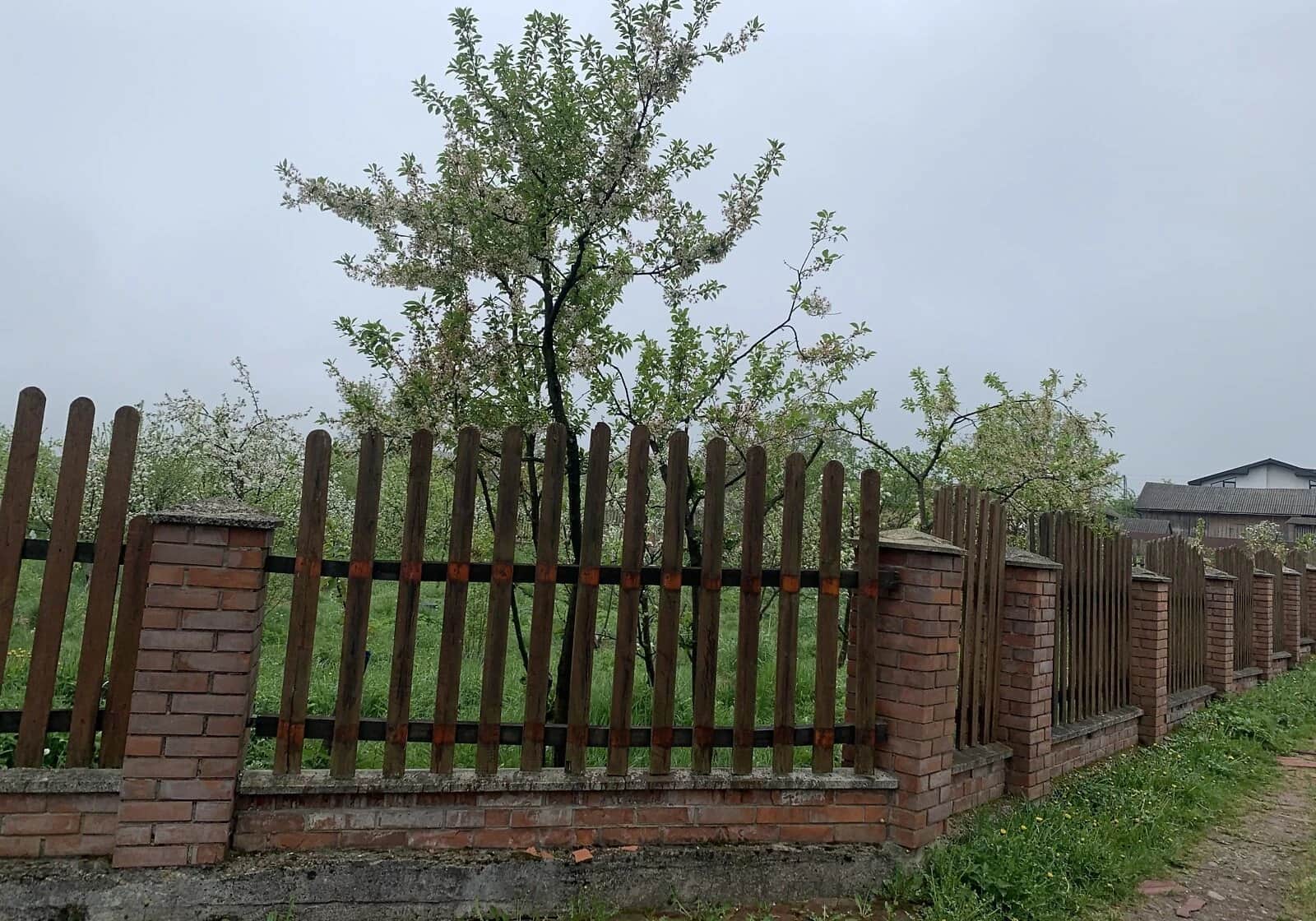 Ділянка 11 соток, Росільна: житлова забудова, криниця - фото 1