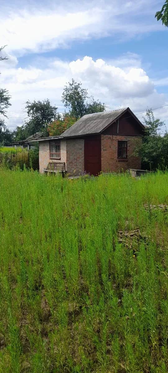 Дача, Подусівка: у місті, приватизована земля, електрика - фото 1