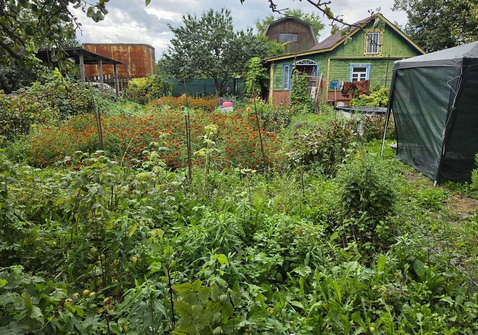Сільськогосподарська ділянка, Киїнка: свердловина, торг можливий - фото 2