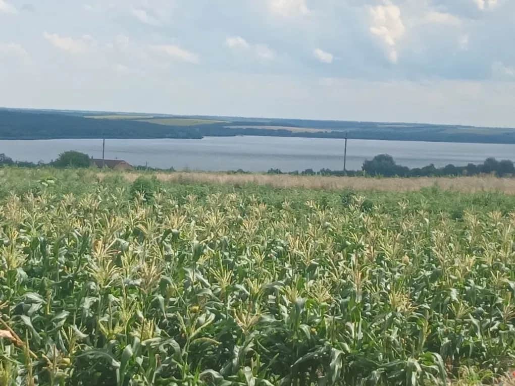 Ділянка 70 соток, Микільське: технічне водозабезпечення, під забудову - фото 1