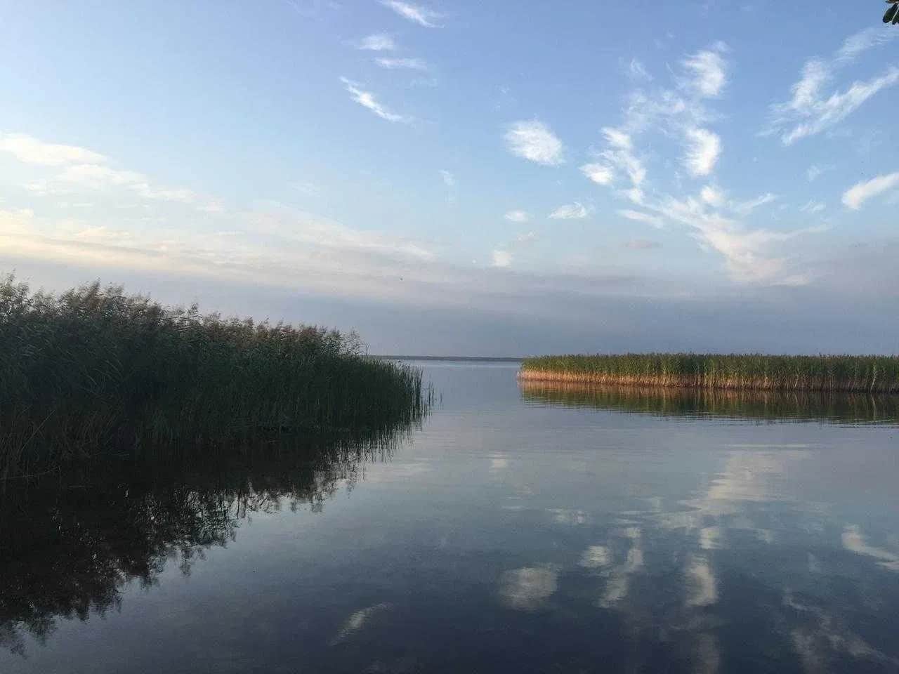 Ділянка 0.08 соток, Пулемець: озеро і пляж за кількасот метрів - фото 1