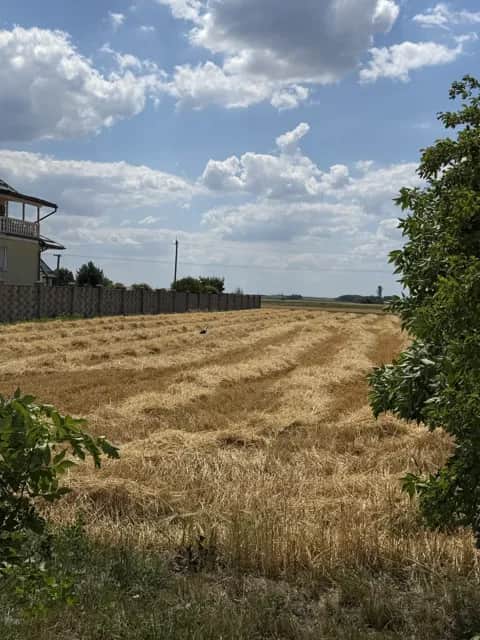Ділянка 24 соток, Вербаїв: рівна, правильна форма, асфальтований доїзд - фото 1