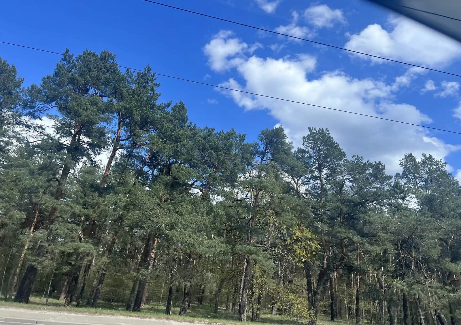 2-кімнатна квартира, Воскресенка: резервне живлення, ліфт без світла - фото 2