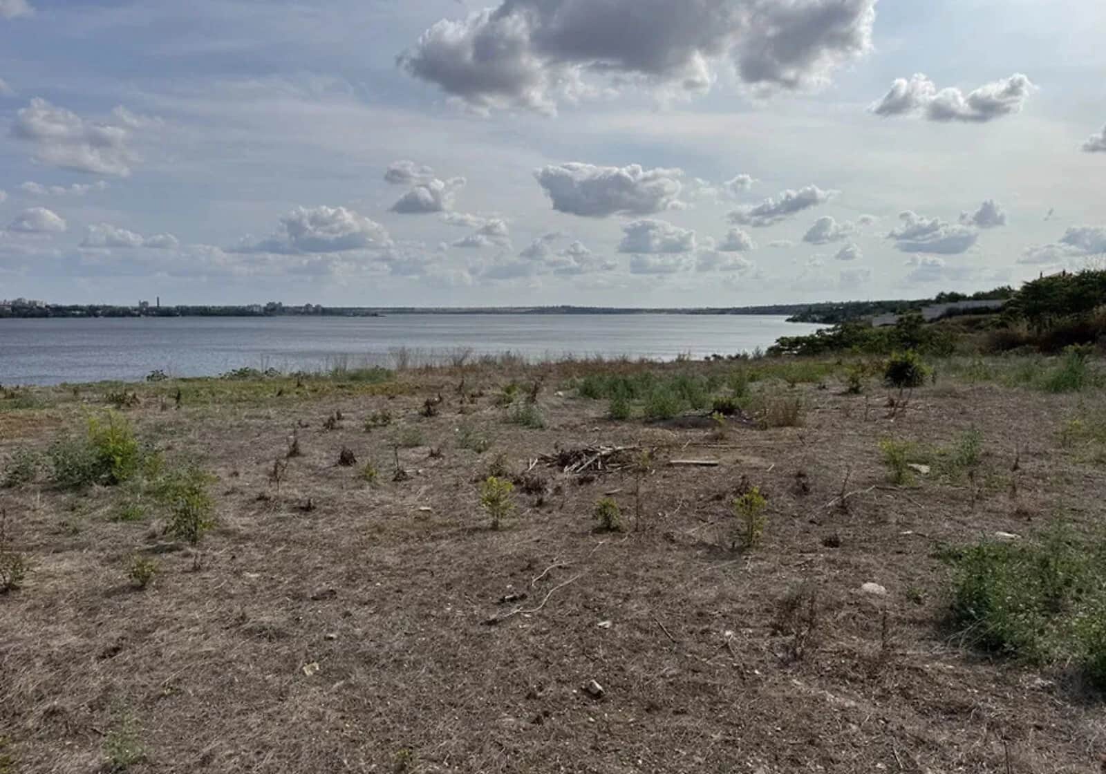 Ділянка 10 соток, Варварівка: під житлову забудову, електрика - фото 2