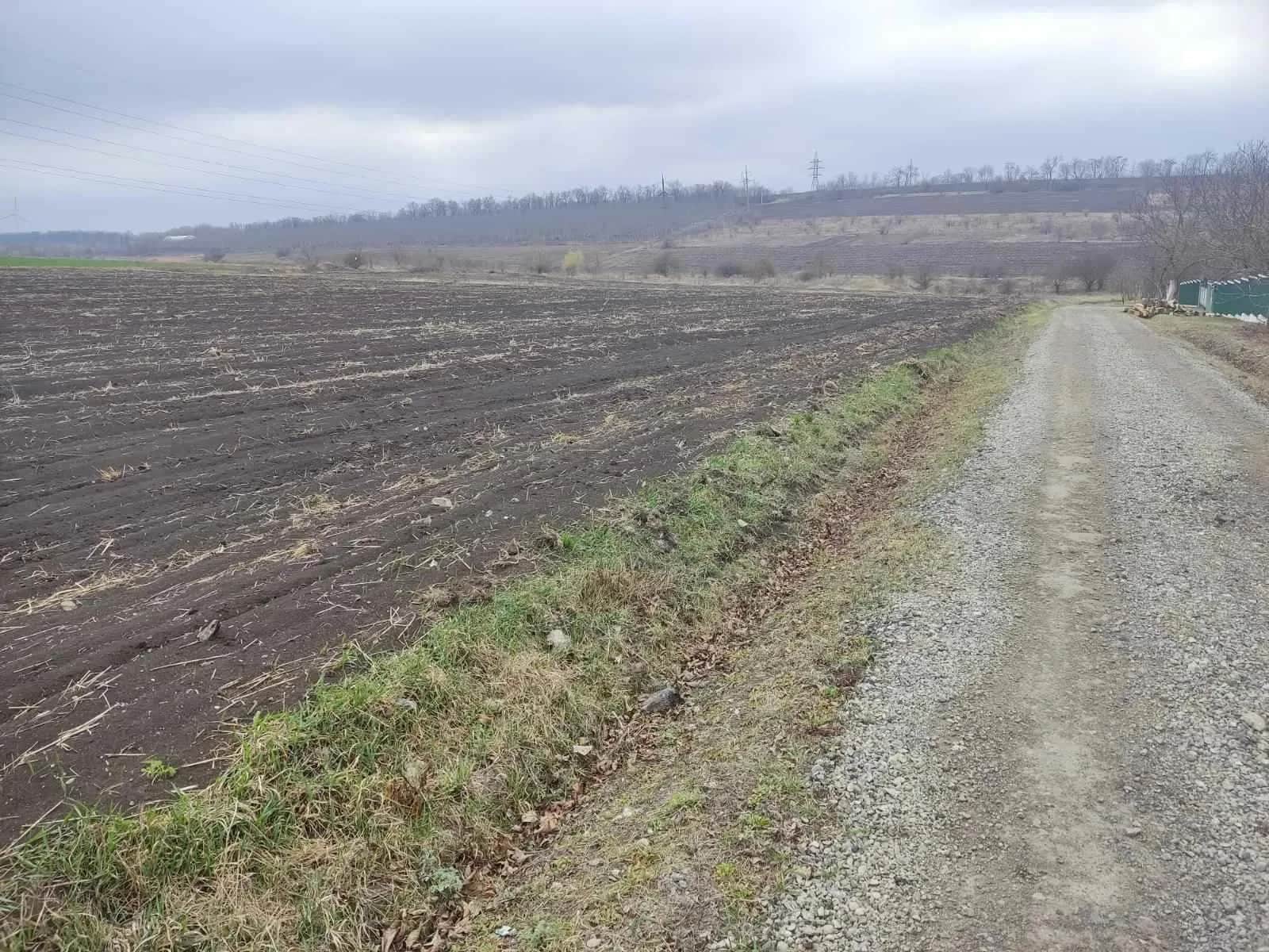 Ділянка 55 соток, Слобідка Кульчієвецька: під будівництво, фундамент - фото 2