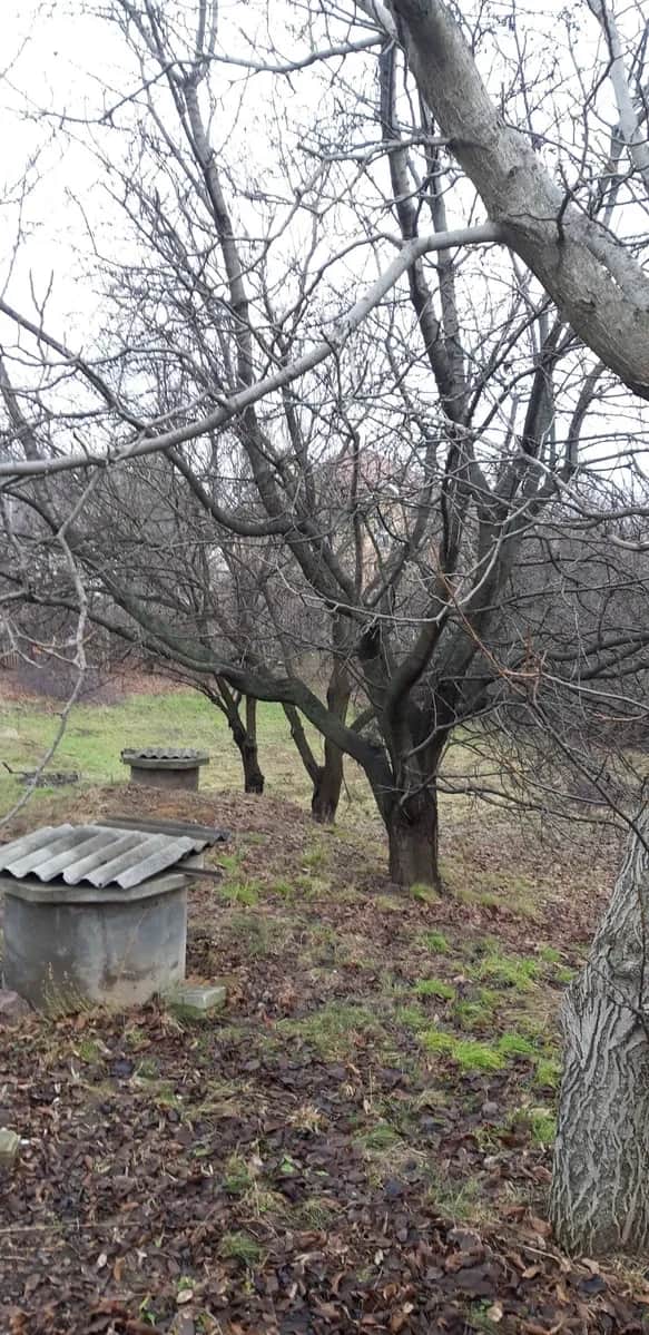 Ділянка 10 соток, Лукавиця: під забудову, перша лінія - фото 2