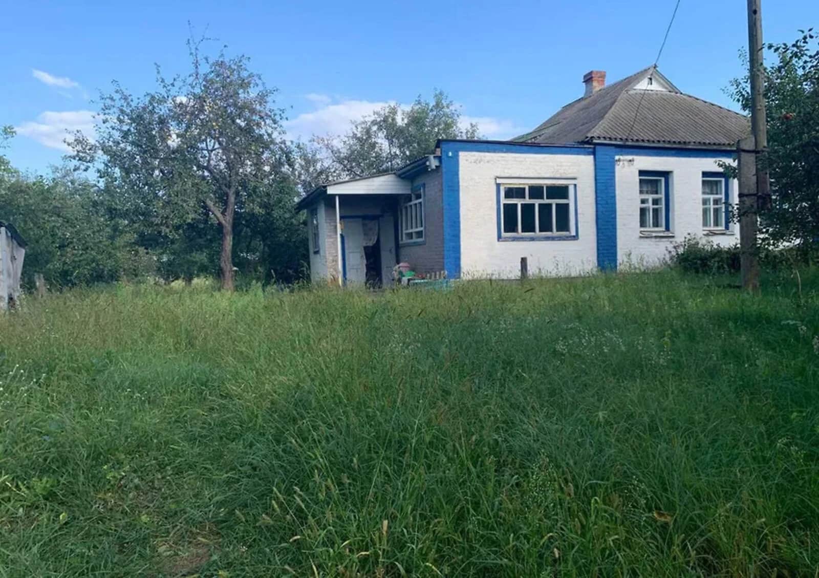 Будинок, Лісові Сорочинці: 25 соток, дитячий майданчик - фото 1