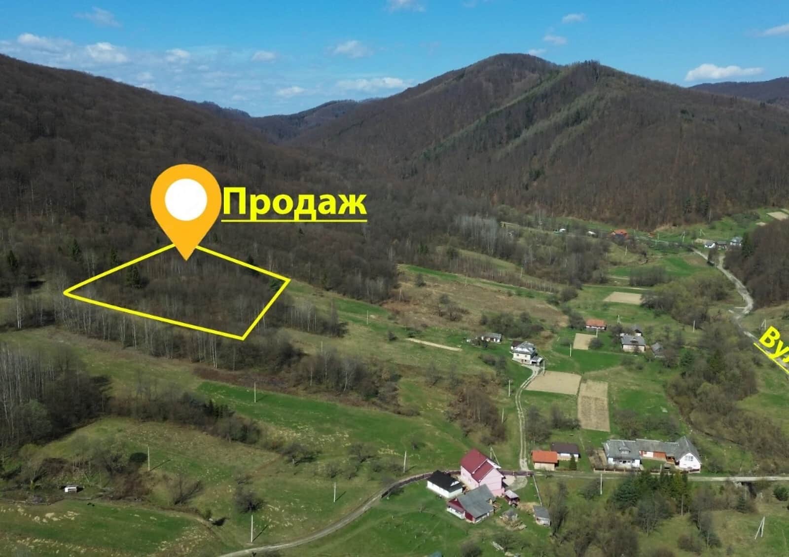 Ділянка 50 соток, Слобода (Коломия): сільськогосподарська - фото 1