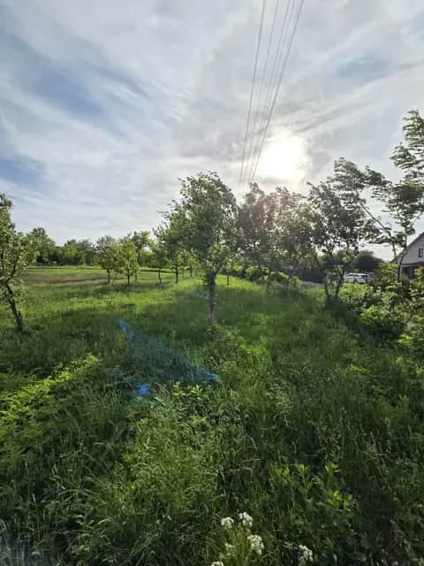 Ділянка 25 соток, Пашківці: під забудову, біля центру села - фото 1