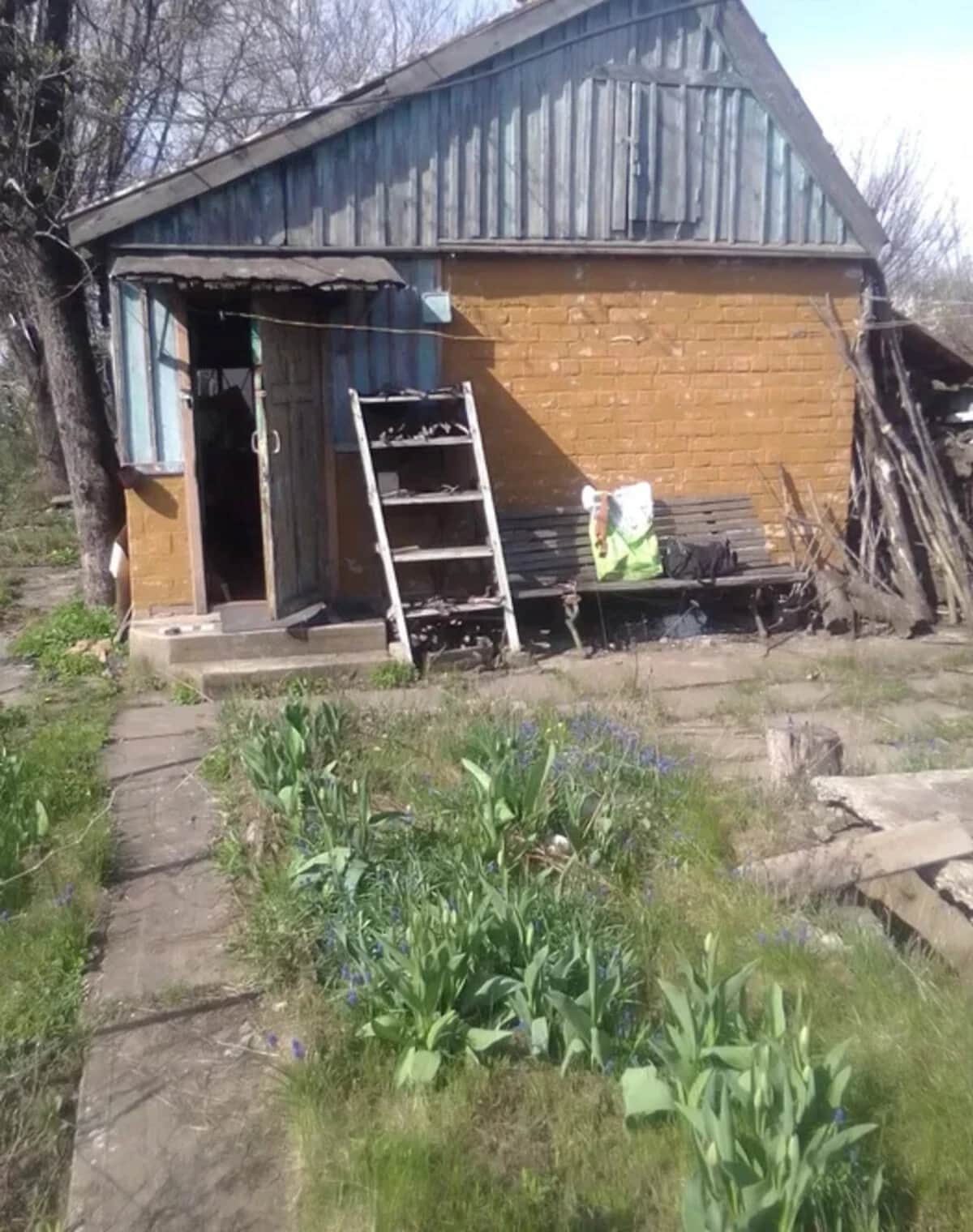 Дача, вулиця Теплична: пічне опалення, гараж із підвалом - фото 1
