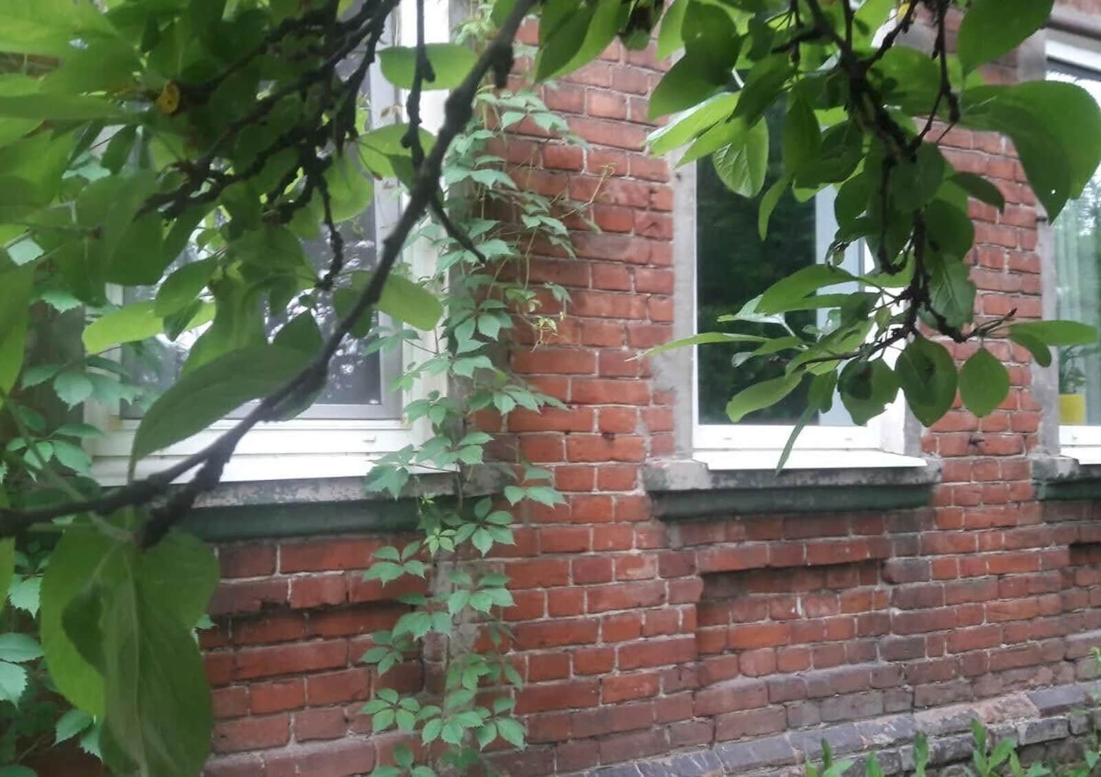 Частина будинку, Ханченківська: камін, 3 спальні, торг - фото 1