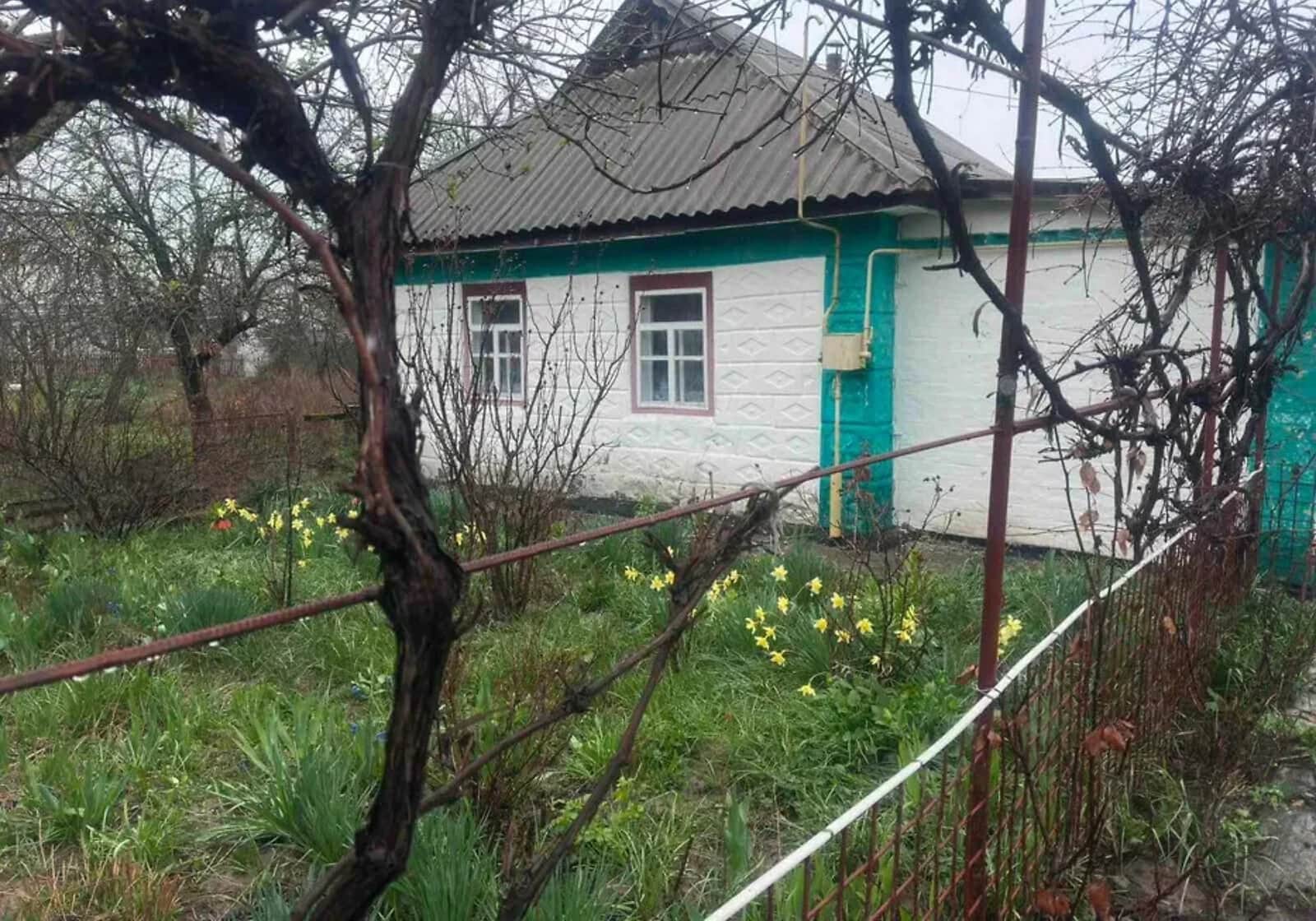 Будинок, Паланка: веранда, свердловина, 36.72 сотки - фото 1