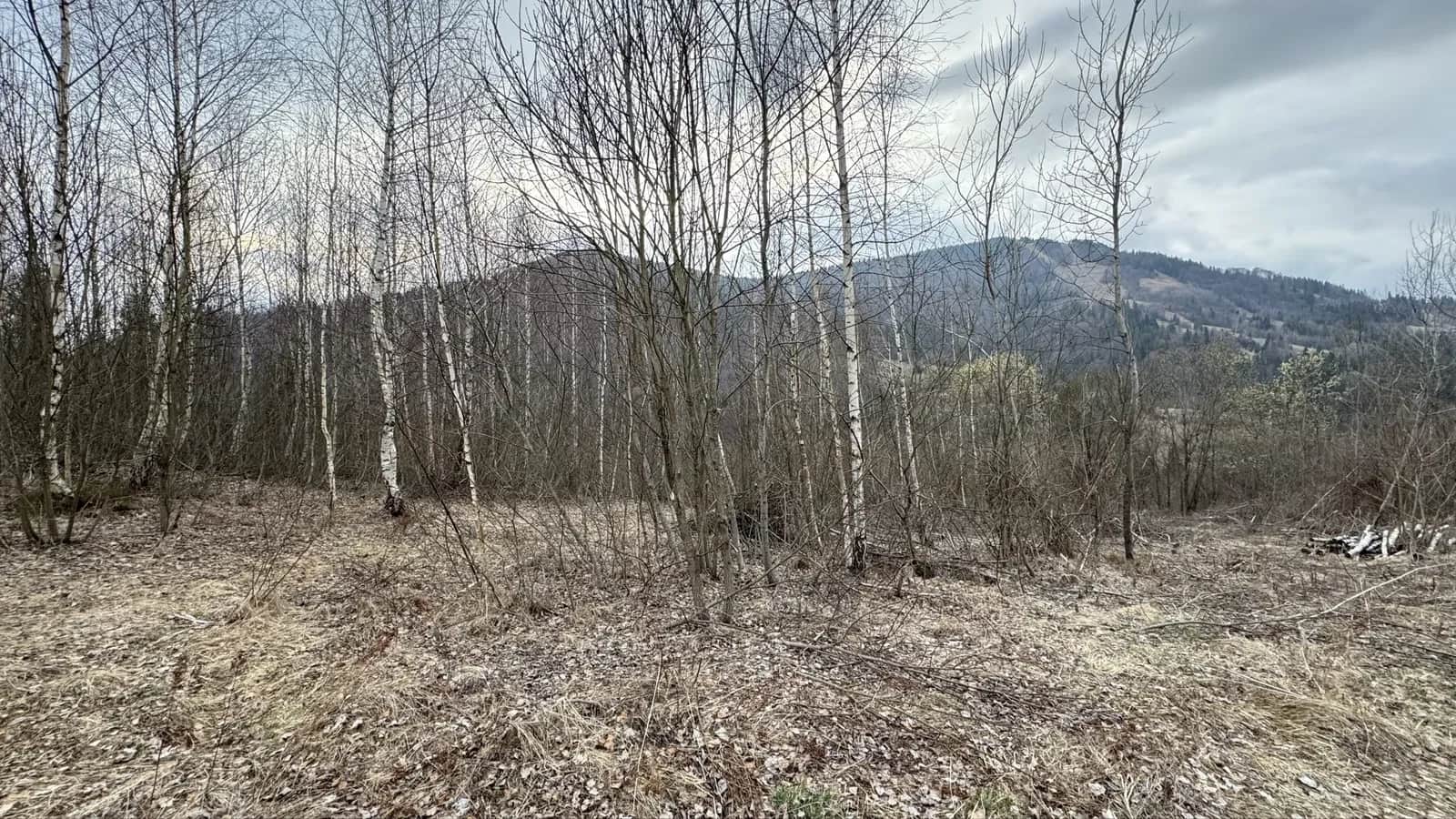 Ділянка 20 соток, Славське: дозвіл на будівництво, гора Тростян - фото 1