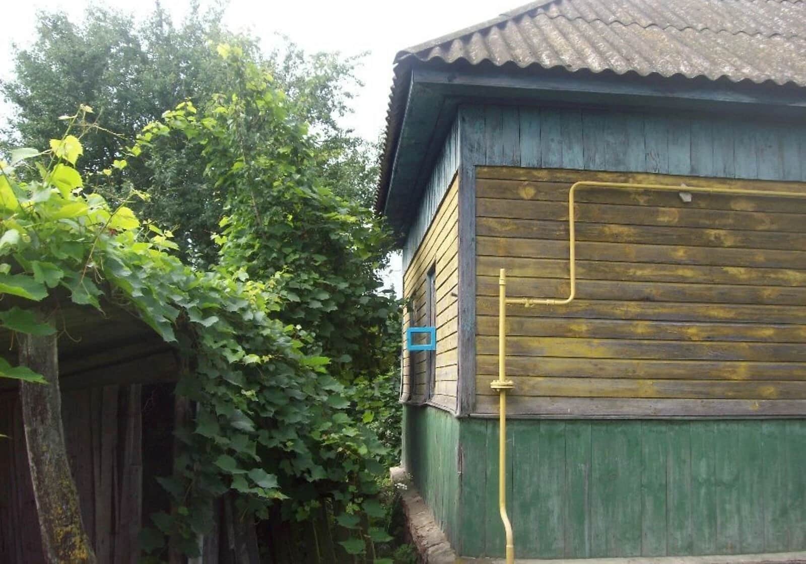 Будинок, Деснянське: веранда, 25 соток, газове опалення - фото 2
