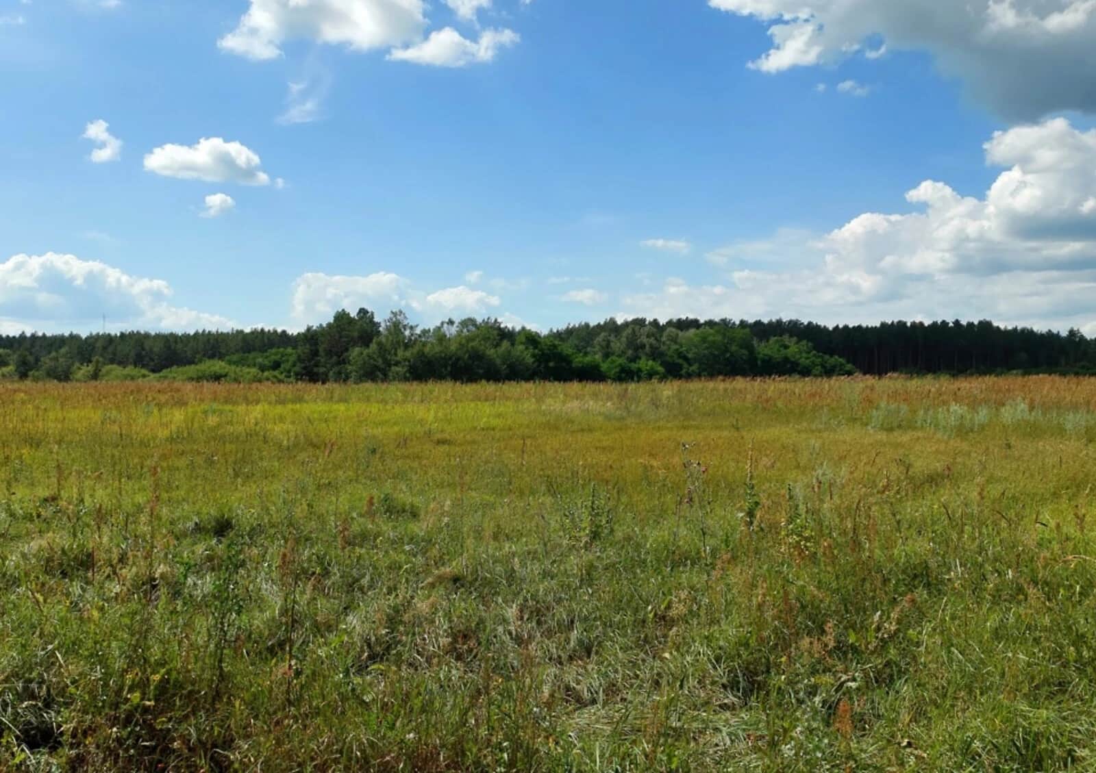 Ділянка 6.4185 га, Остер: чорнозем, свердловина - фото 1