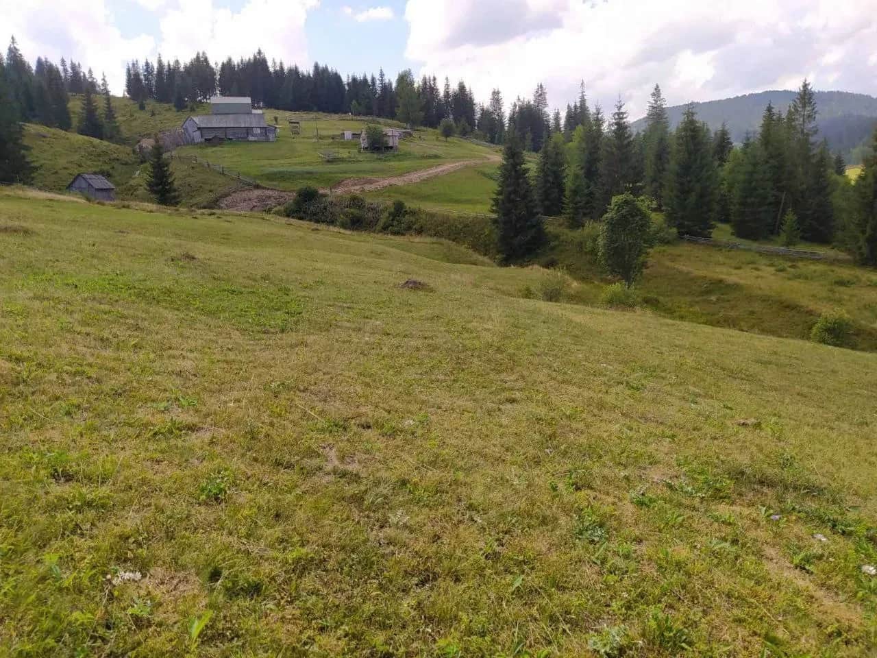 Ділянка 105 соток, Сенечів: річка Обнога, хвойний ліс - фото 2
