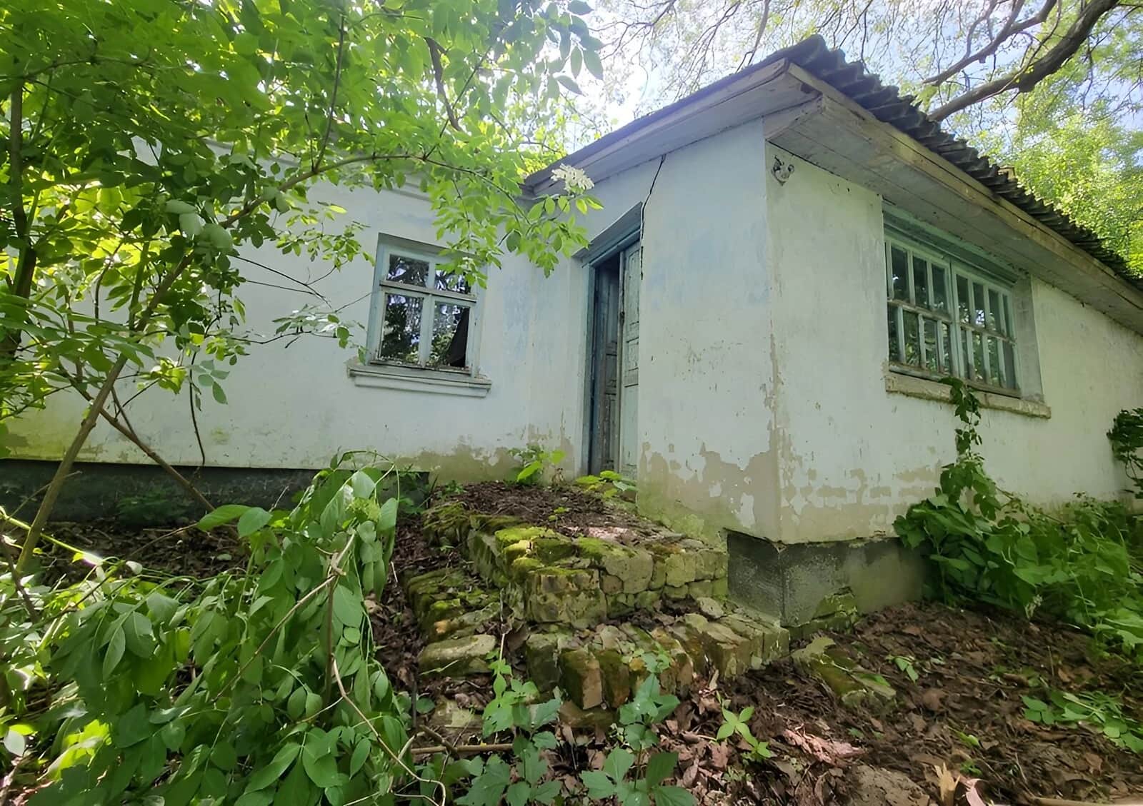 Будинок, Підбереззя: 45 соток, свердловина, гараж із підвалом - фото 1