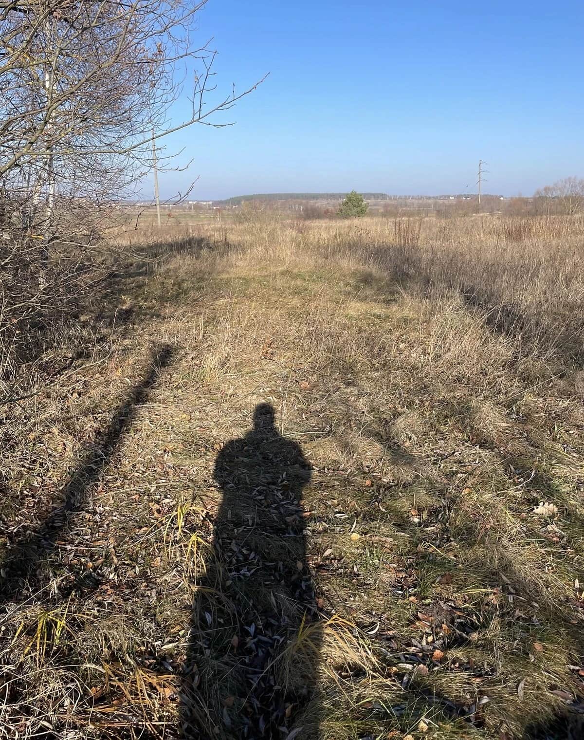 Ділянка 20 соток, Забуччя: під житлову забудову, електрика - фото 2
