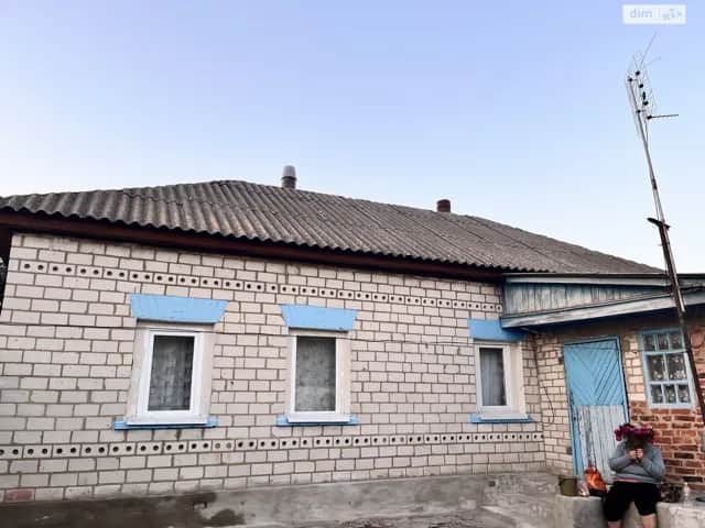 Будинок, Араповичі: опалення, цегляні стіни - фото 1
