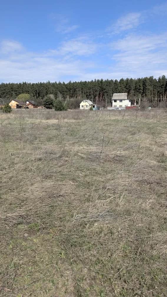 Ділянка 22 соток, Благодатне: фундамент, електрика і газ - фото 2