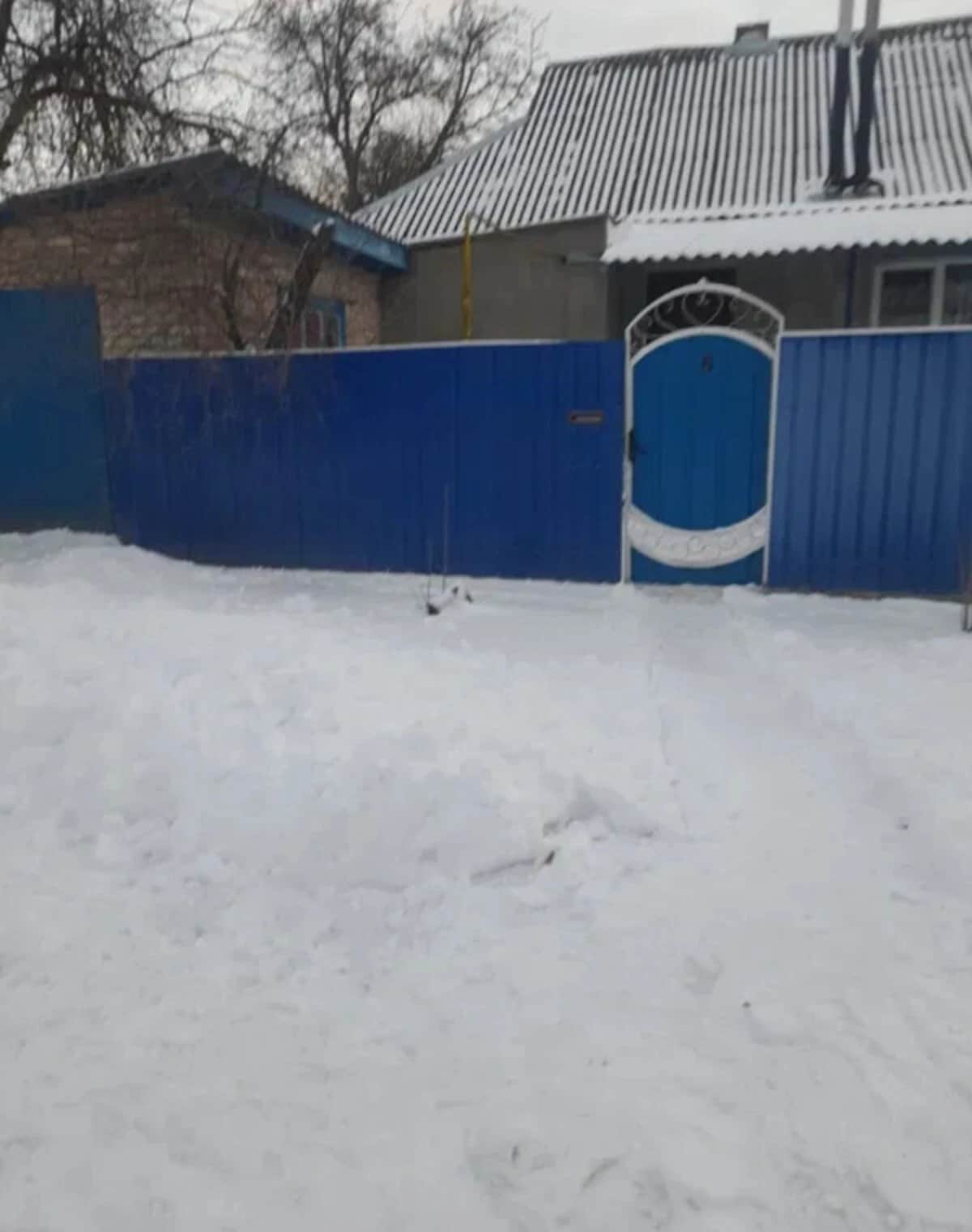 Будинок, Липова Долина: гараж у дворі, криниця, газове й пічне опалення - фото 1