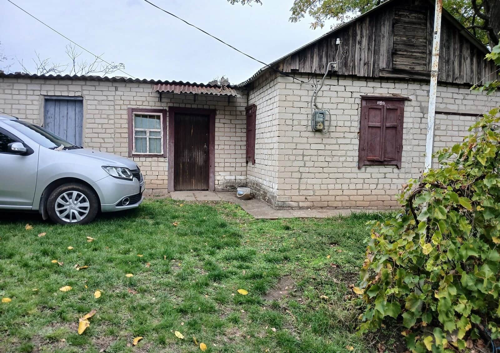 Ділянка 32 сотки, Спаське: чорнозем, сад і виноградник - фото 1