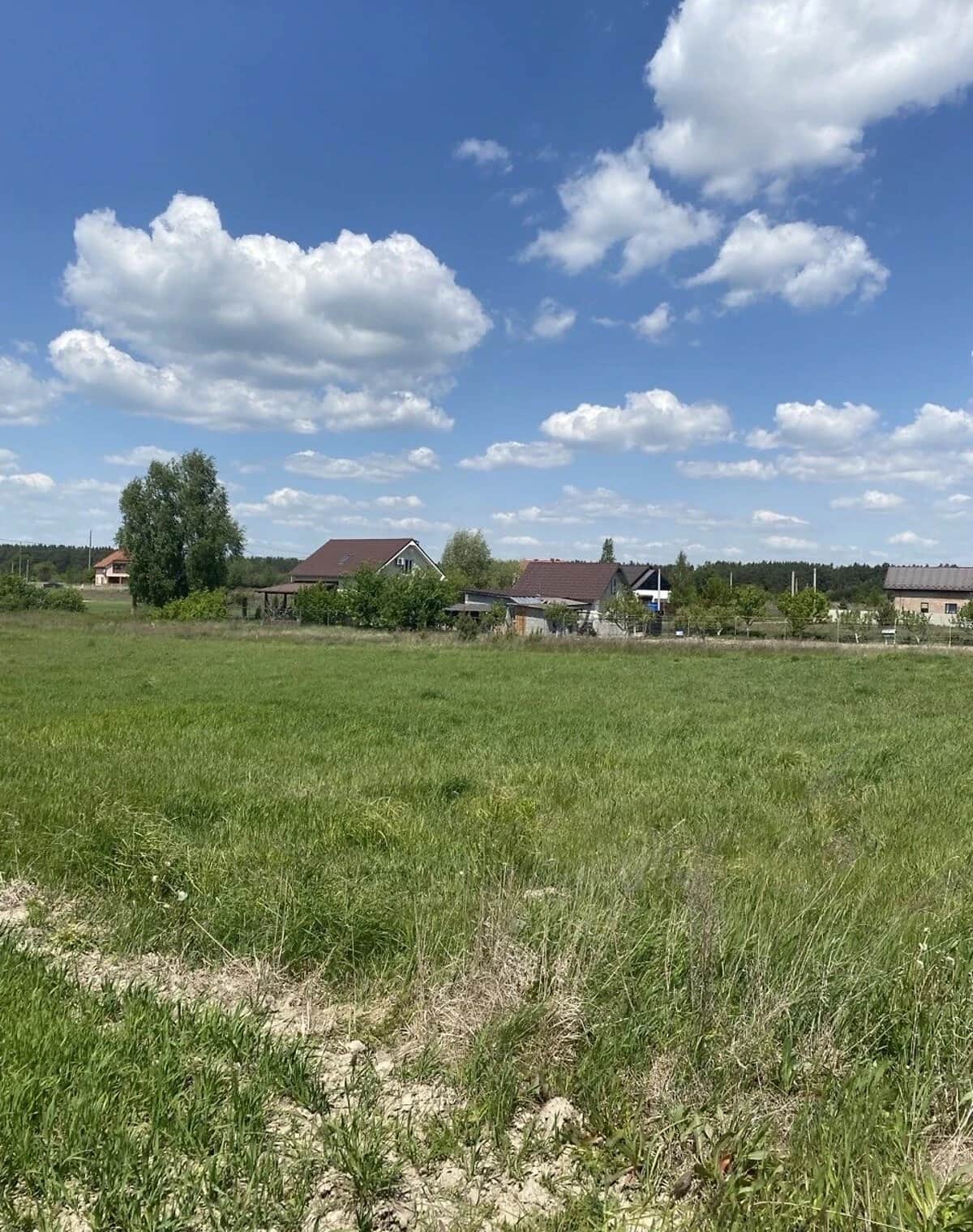 Ділянка 23.88 соток, Забороль: житлова забудова, фундамент, електрика - фото 2