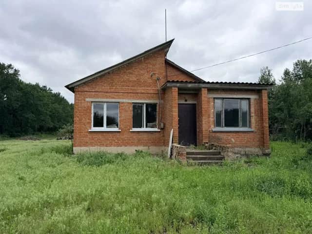 Будинок, Нові Мартиновичі: гараж із підвалом, 53 сотки, торг можливий - фото 1