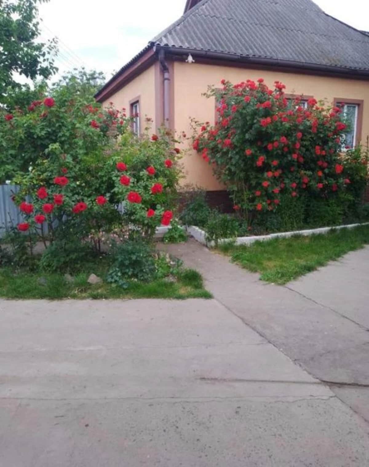 Будинок, Велика Яблунівка: гараж, бесідка, 33 сотки - фото 2