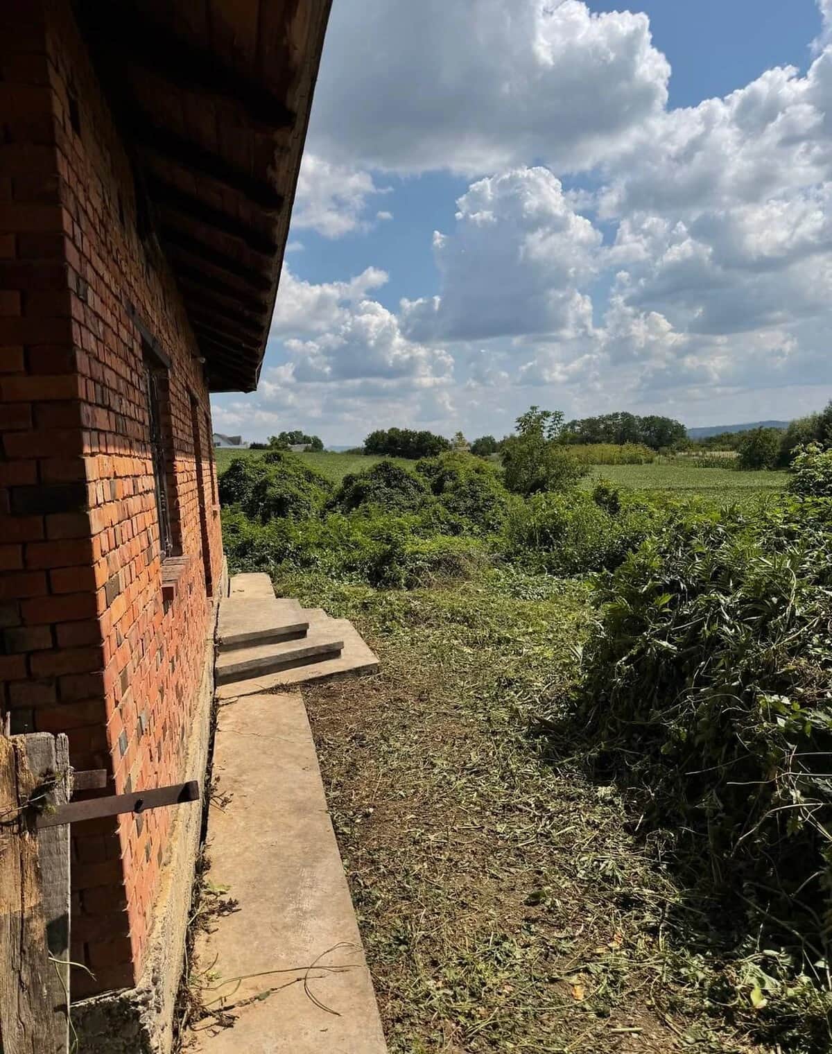 Будинок, Оршівці: криниця, сад, господарські будівлі - фото 2