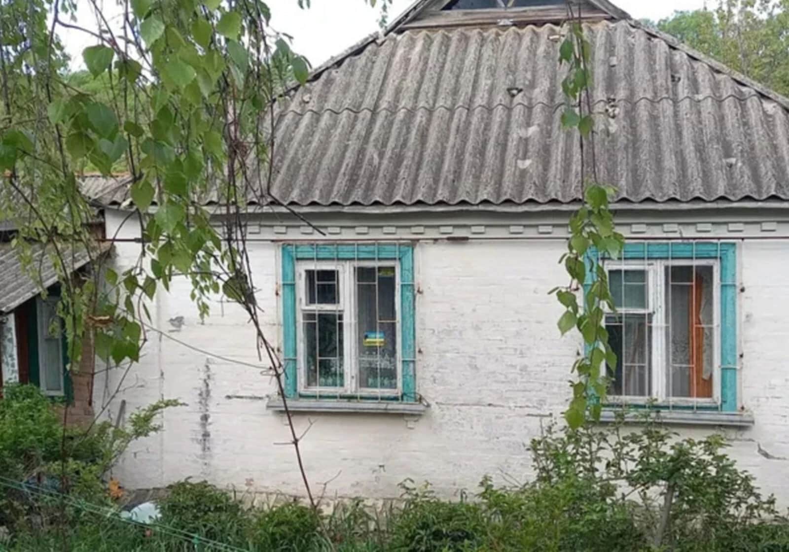Будинок, Петрівка (Полтава): гараж із підвалом, 25 соток - фото 2