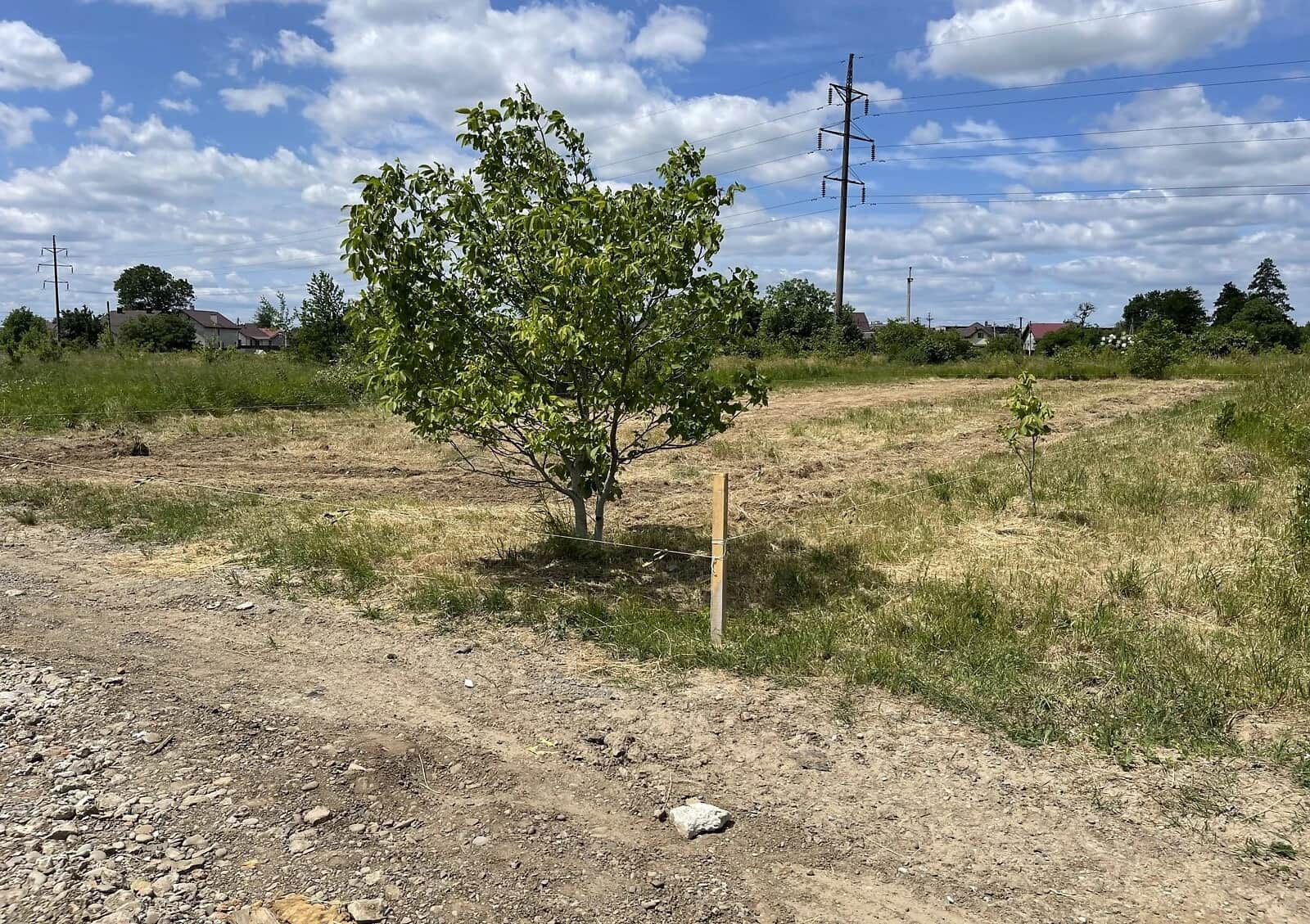 Ділянка 8.16 соток, Опришівці: під житлову забудову, електрика, газ - фото 1