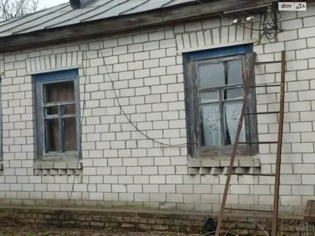 Будинок, Булахів: пічне й газове опалення, гараж і сад - фото 2