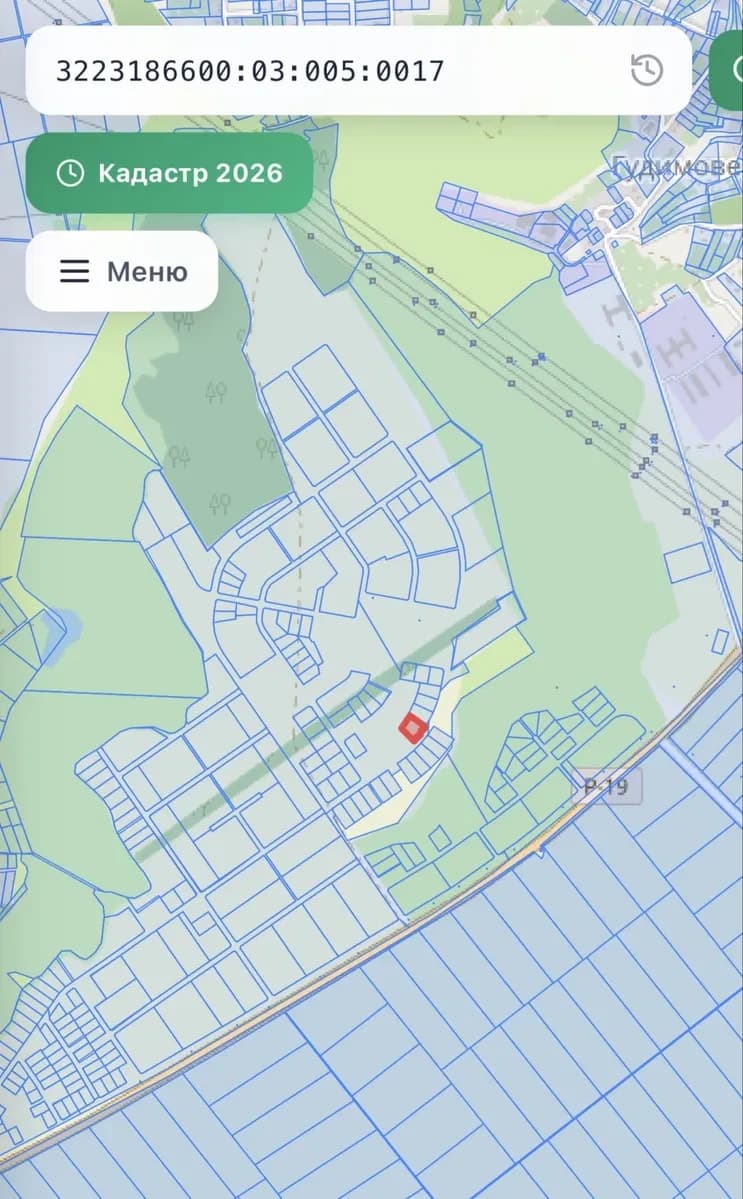Ділянка 24.20 соток, Гудимівка: електрика, асфальтована дорога - фото 3