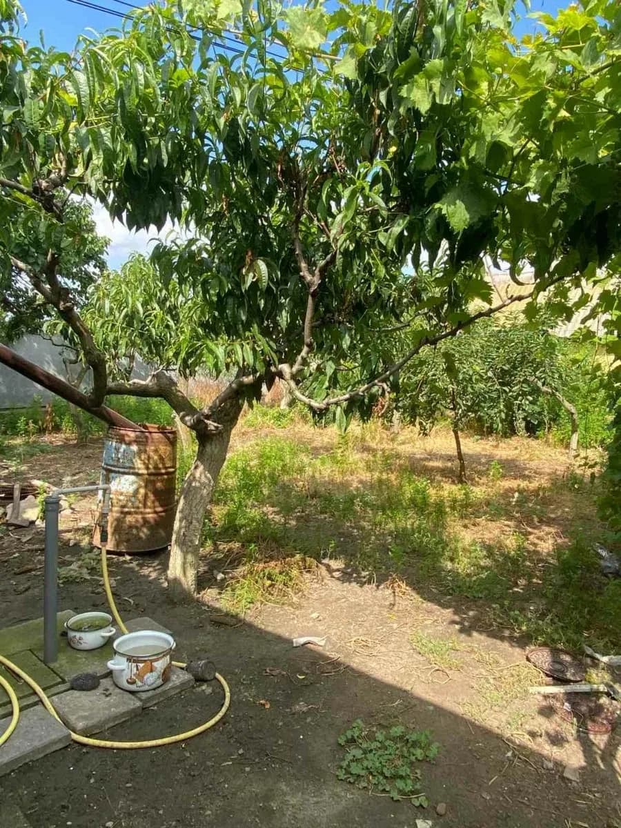 Будинок, Білгород-Дністровський: вид на лиман, баня, гараж - фото 2