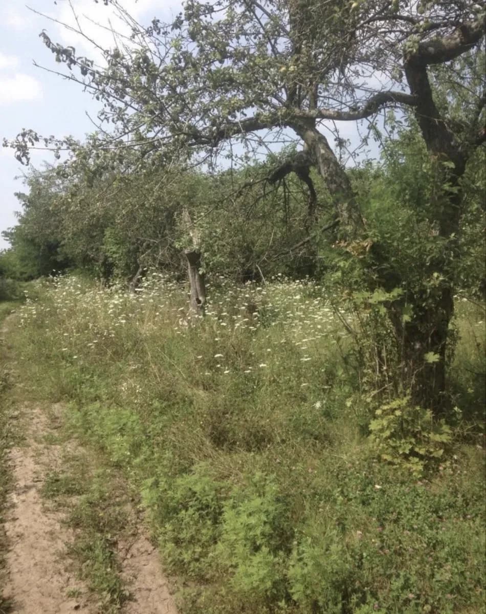 Ділянка 8 400 соток, Покотилівка: під котеджне поселення - фото 3