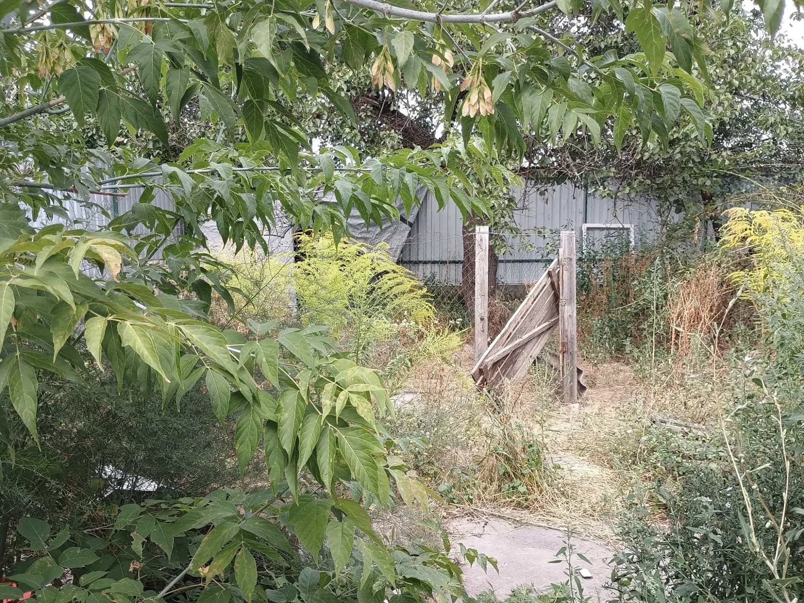 Частина будинку, Гостомель: свій огороджений двір, 2 сотки - фото 4