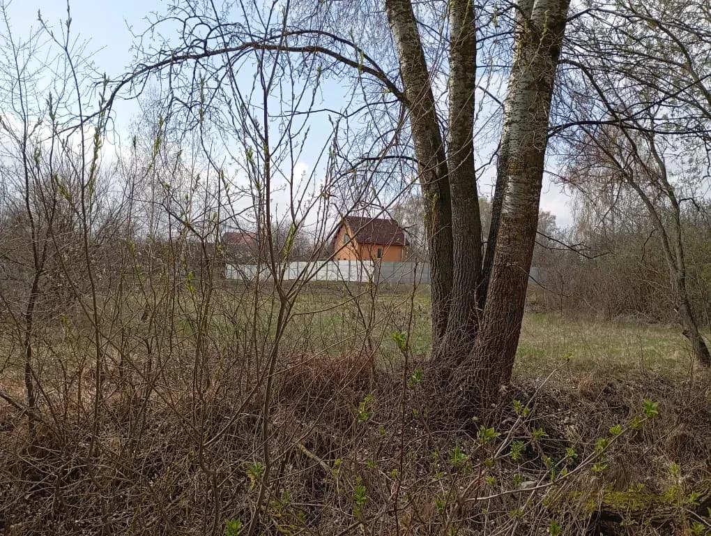 Ділянка 20 соток, Русанів: центр села, під житлову забудову - фото 2