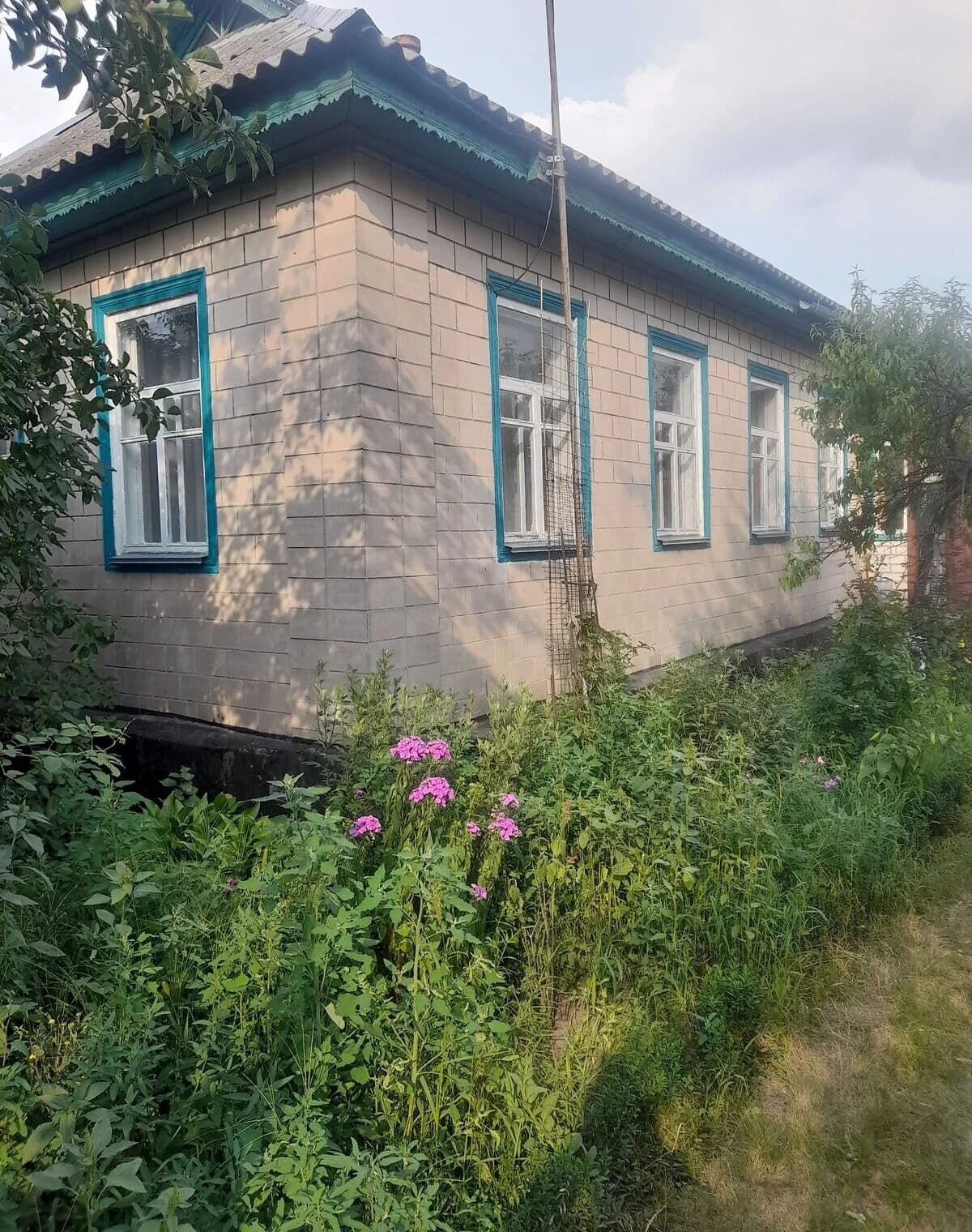 Будинок, Степанки: опалення, літня кухня, сад