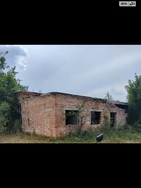 Комерційне приміщення, Заріка: клас A, 1 поверх - фото 3