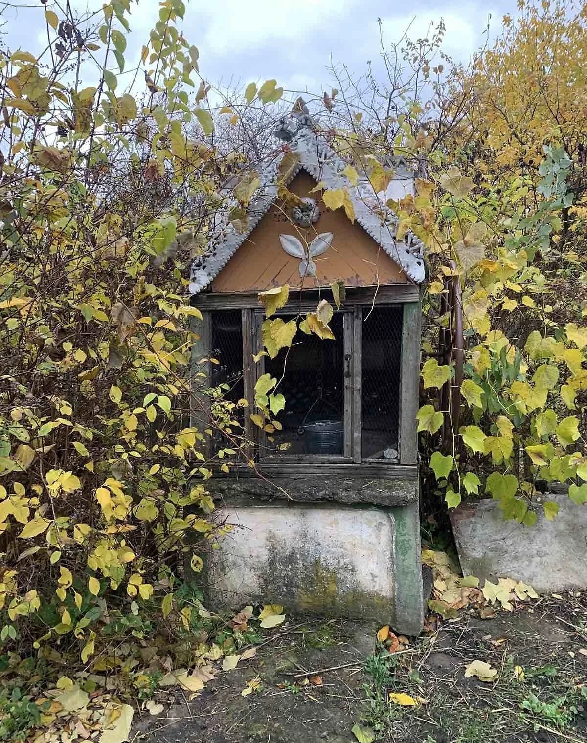 Ділянка 64 соток, Заволока: під житлову забудову, криниця - фото 2