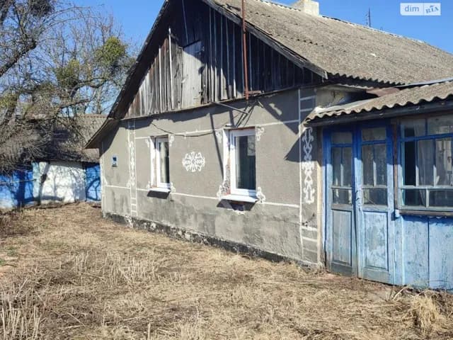 Будинок, Улашанівка: свердловина, літня кухня, сад