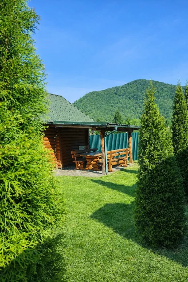 Дача, Колочава: 25 соток, торг, біля річки - фото 5
