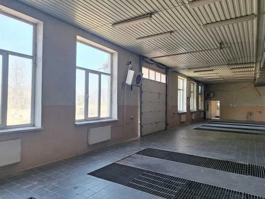Комерційна територія, Холодна Балка: 55 соток, хвойне озеленення
